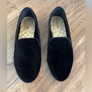 Starling Birdies in Black Velvet! ✨🖤